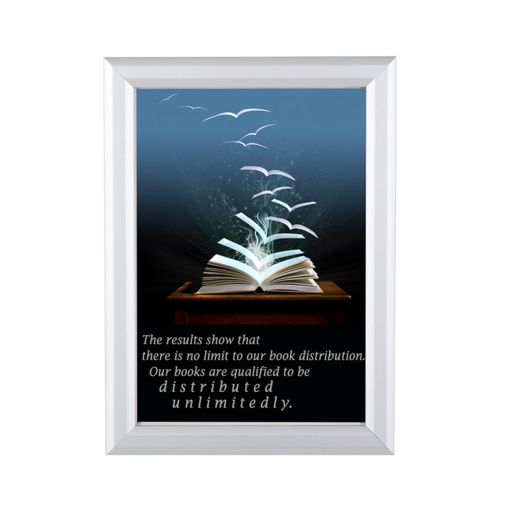 MT Displays | Window Frames 1″
